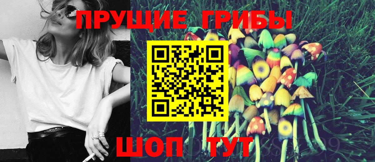 Псилоцибиновые грибы мухоморы Шадринск